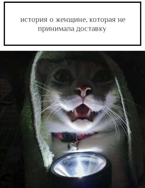 ������������ ��������� �� �� �������