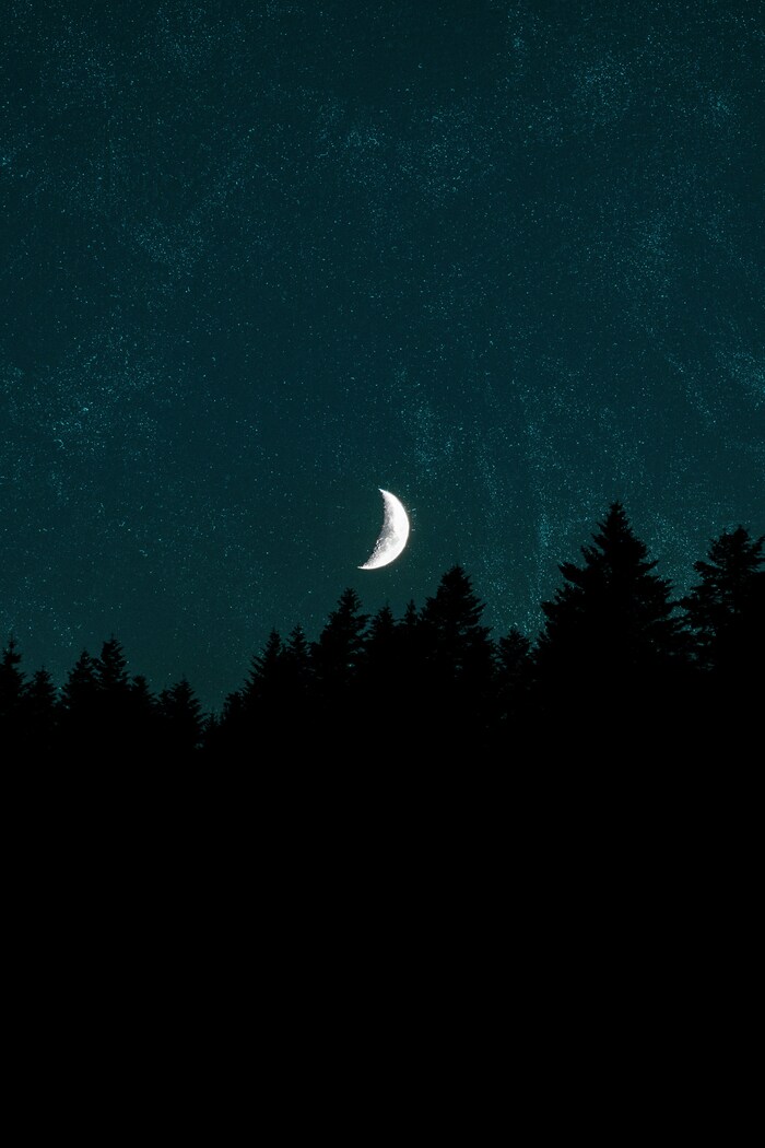 Photo by Adrian Regeci on Unsplash