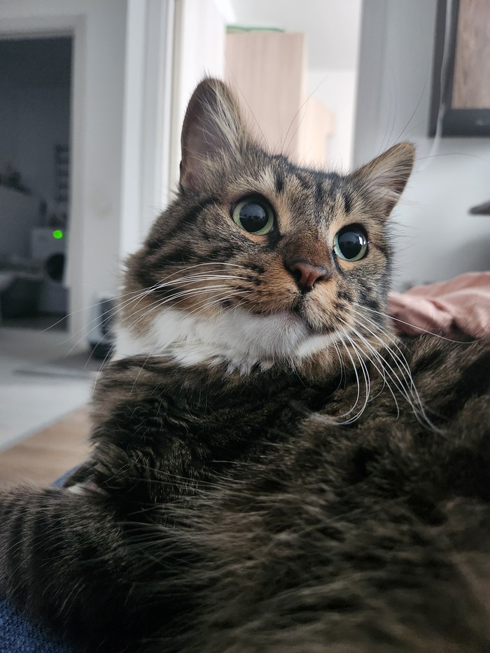 ���������� ������� #173