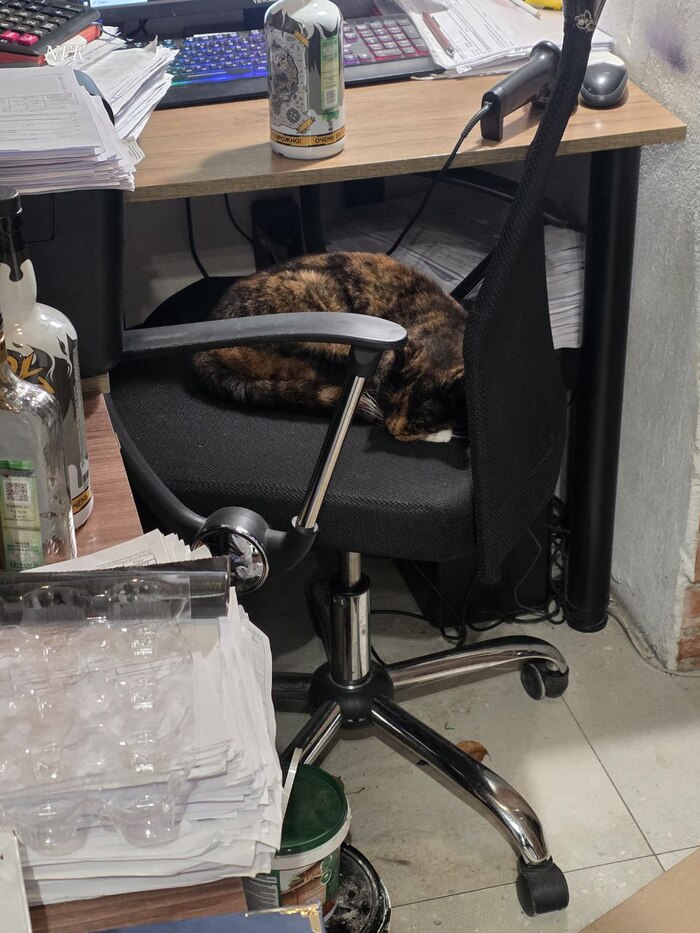 ������� �����