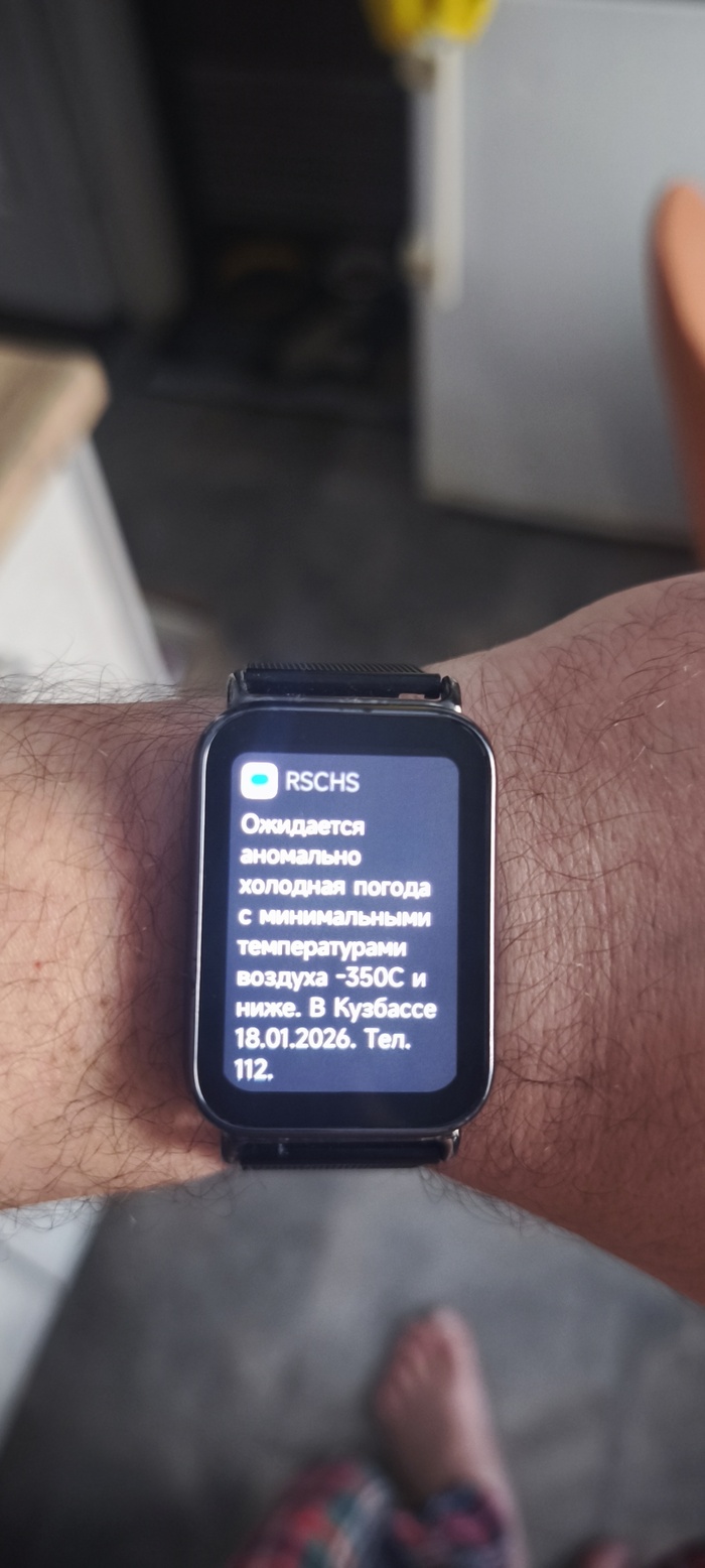 Шарфики надеваем