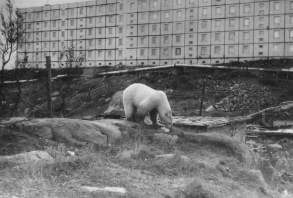 ����� ������� �� �������� �����������