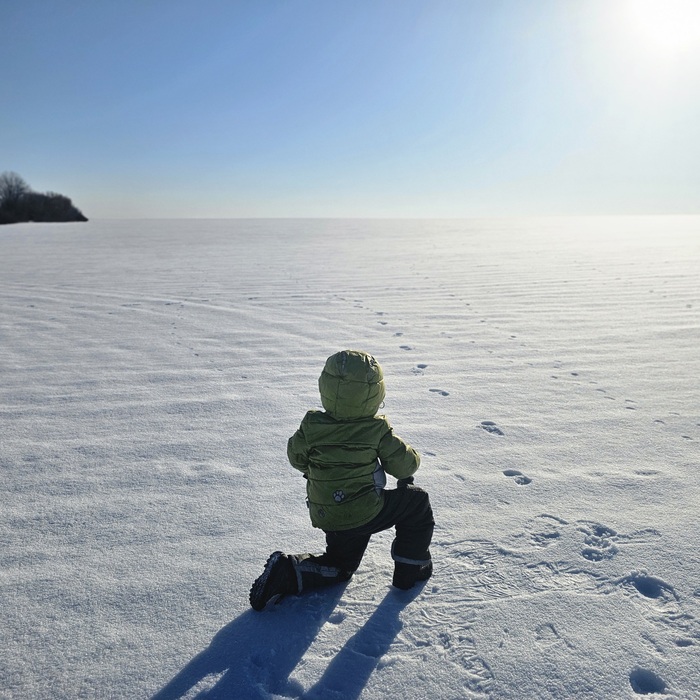 ������� ������� �� ����