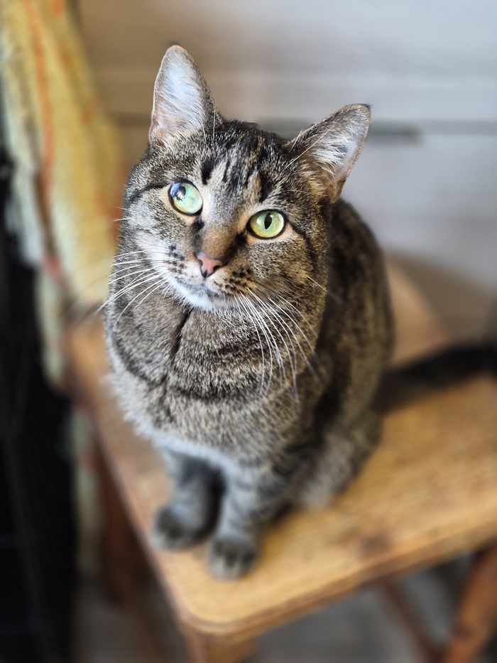 ����� ��������� � ��������.