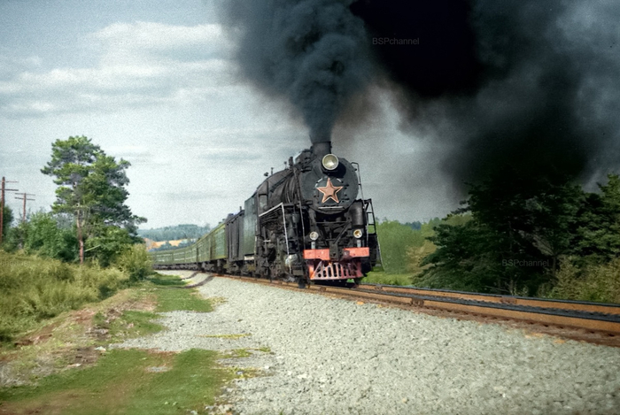 �����: �������� ����