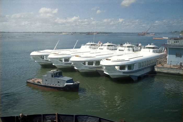 �����: �������� ����