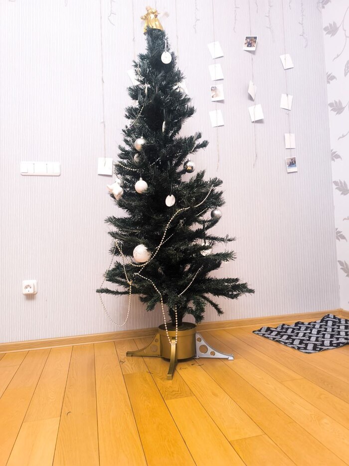 ������� ����