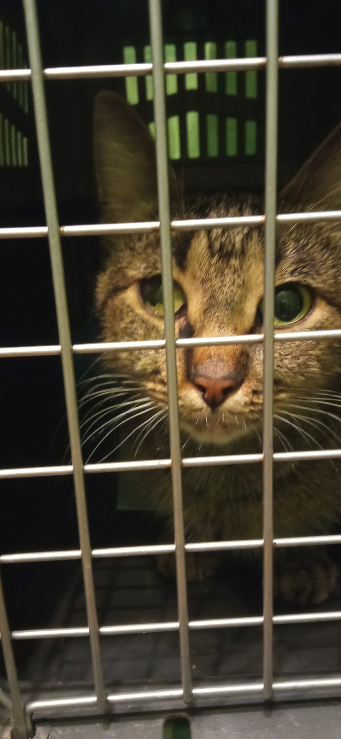 ���� �������� � ���������, ��� ������ �� �������.