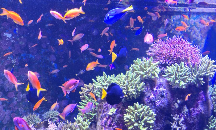 ������� ��������� � ��������� � ������ ���������� ����� ���� ������� ����, � �� �����