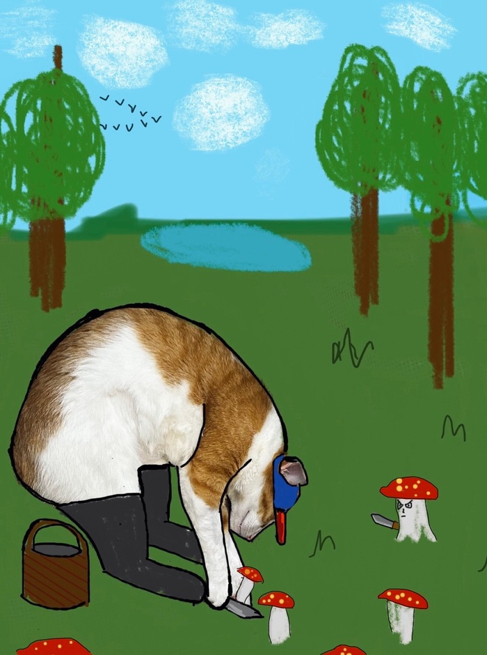 �� ����� ����� �� �������������