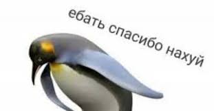 И всем похуй