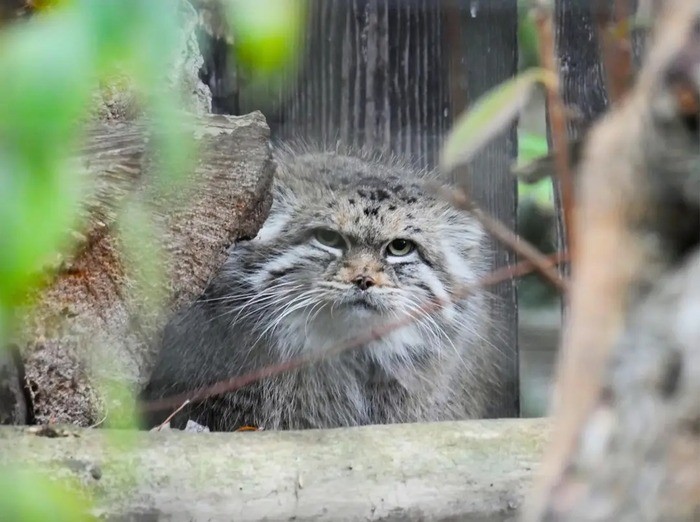 ���� ������!