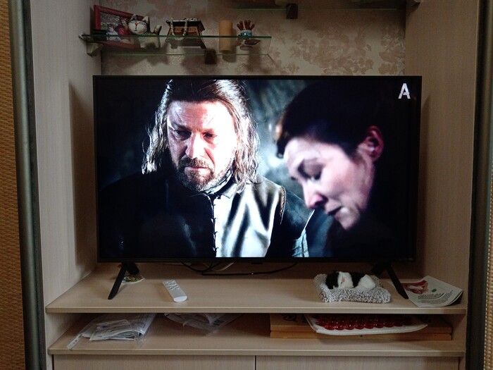 ������ �� �����������, ��� ��� �������?