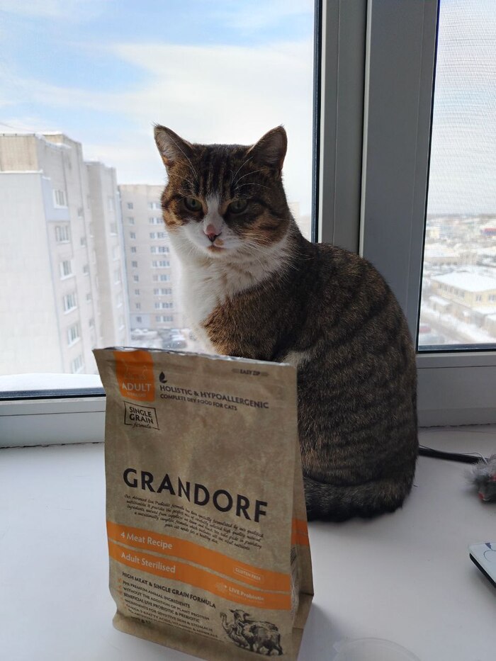 ���� � ������