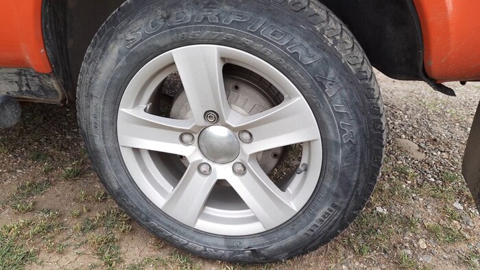 ������ ������