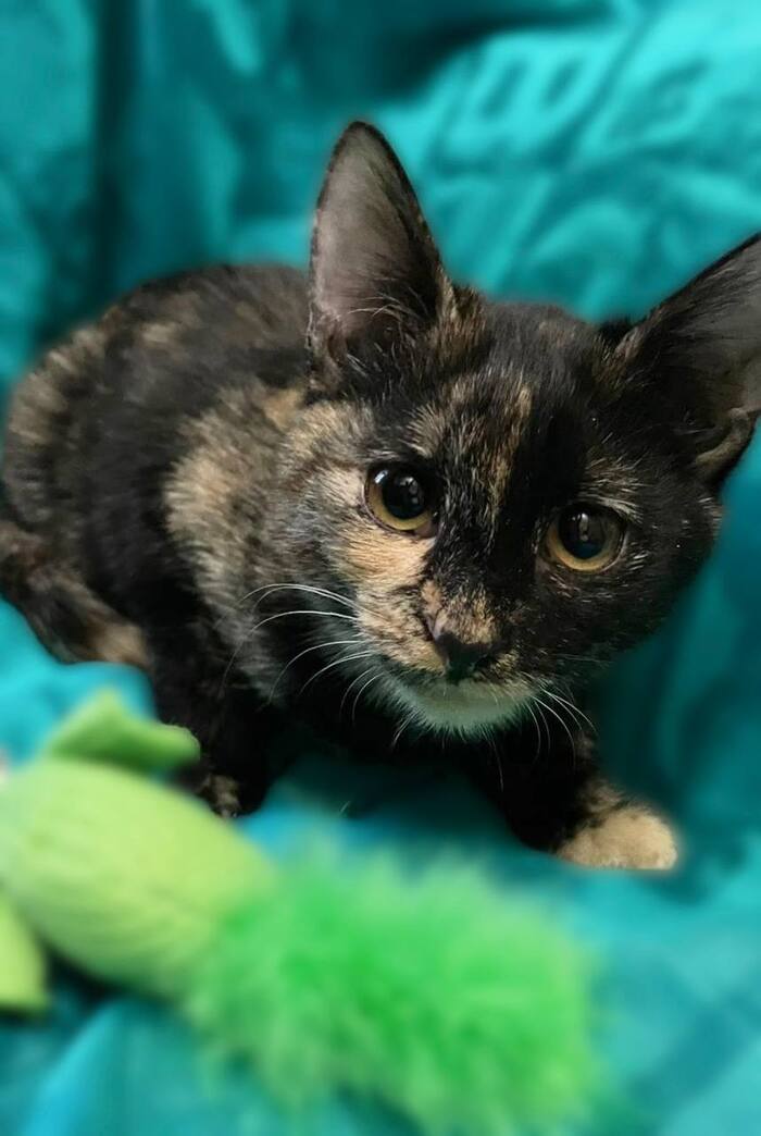 ����� �������� ������ ������� ���� ���!