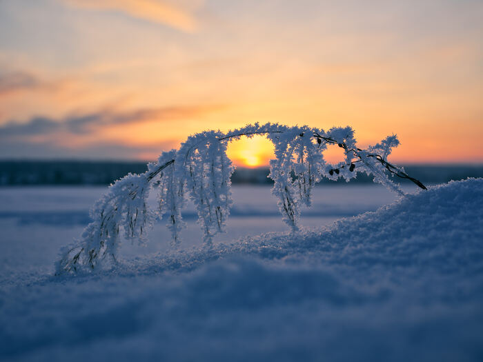 Fujifilm GFX100 II + Fujifilm GF 55mm F1.7