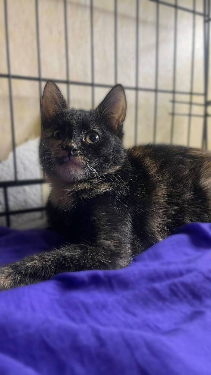 ����� �������� ������ ������� ���� ���!