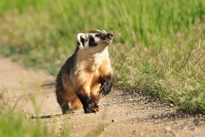 ������������ ������, ������� �� �������� � ��������� ����