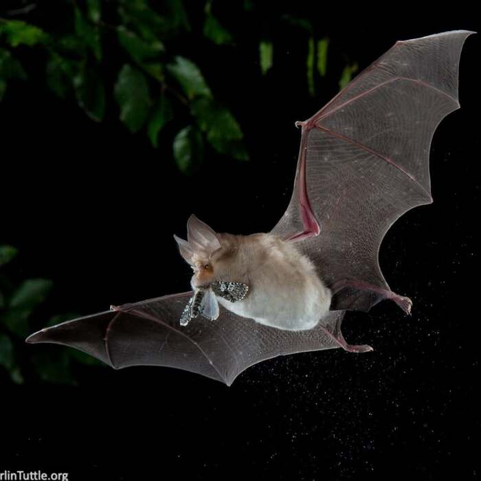 ���������� ������