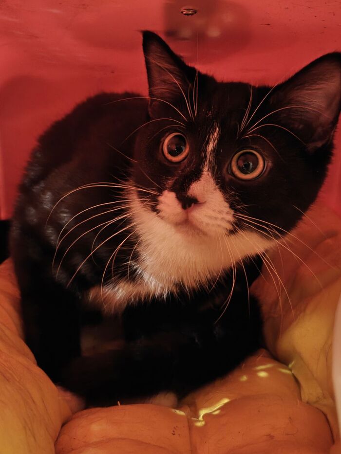 896 ����� ����� ���� ����� ���. ������, ������� ��������� � ������� � �������, ����� ��������