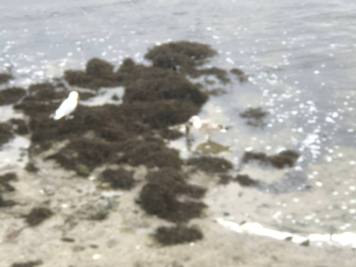 ����� �� ��������, �� ����� ������ ���� ������.