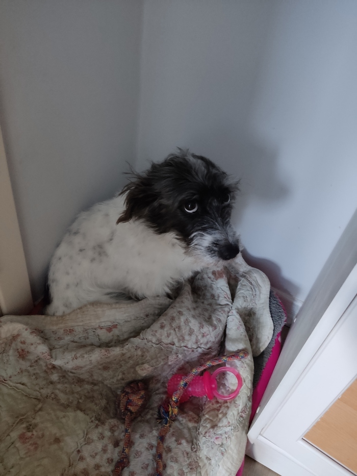 ����� ��������� ���� ������� ������� � ����� ������ ��� �������