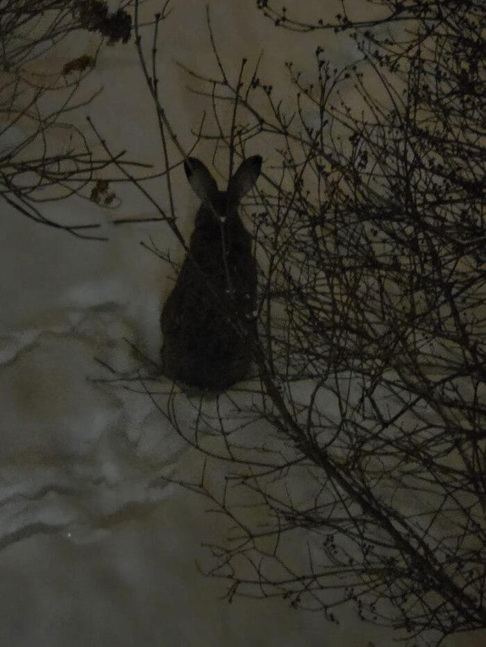 �������� ����� ������ ����� ��� �������� � ����� �� ��������.