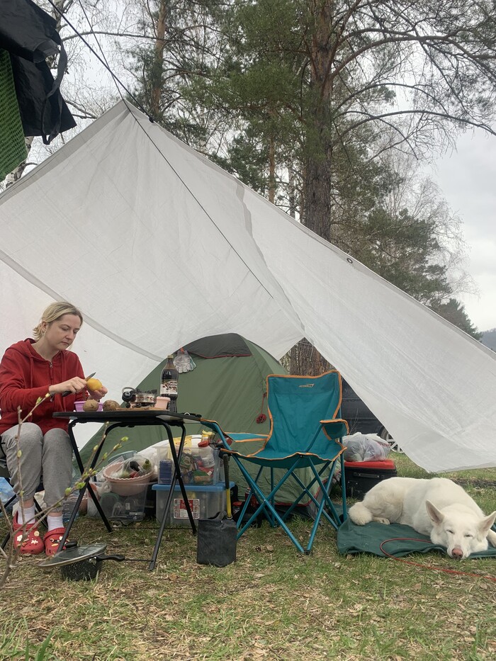 ������� ������� ����� ������������������� � �����. ������ ������������ � ��������� � ���������� � ������� � ����������. 