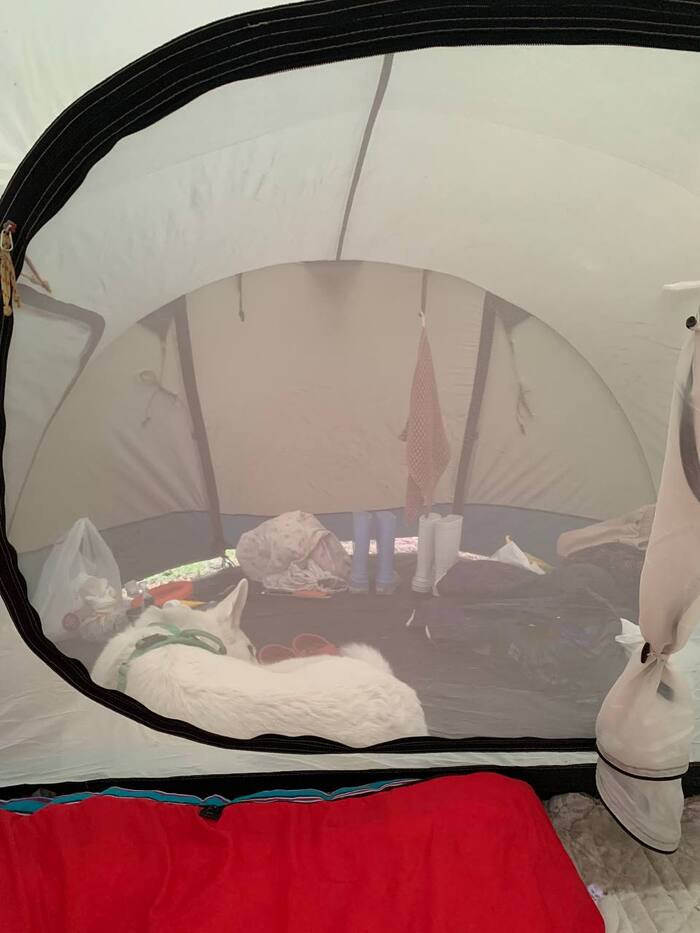 � ������� �� ������� ���� � ������� � ��������� ������. ������, ��� ��������� �� ������ � ����������)) 