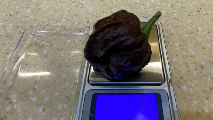 � ��� �� ������...