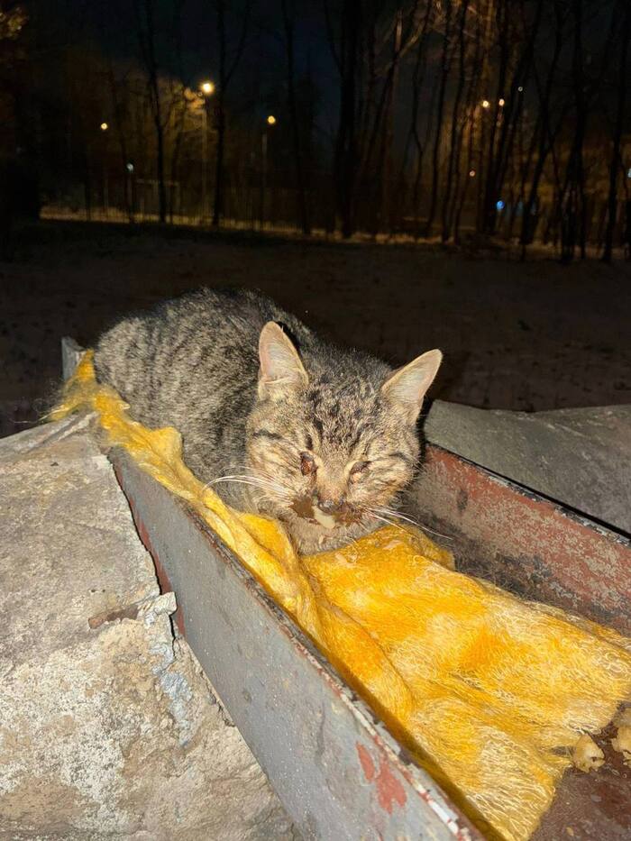 ������� ��� ����� ��� ���� �������!