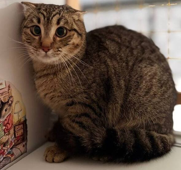 ������� ��� ����� ��� ���� �������!