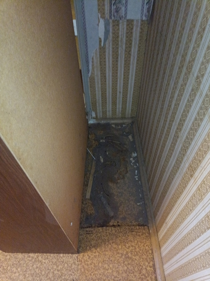 ��������. ������ ����� �����������. ����, ������, ������ � ����