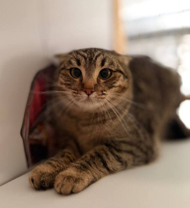 ������� ��� ����� ��� ���� �������!