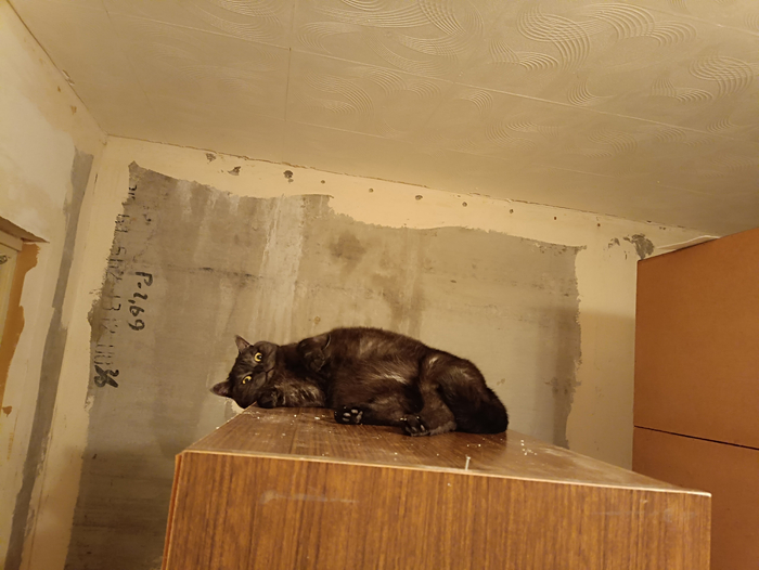 ��� ���. ������� ������. ������������ �������� ����� ������� ����������� �������������� ���������