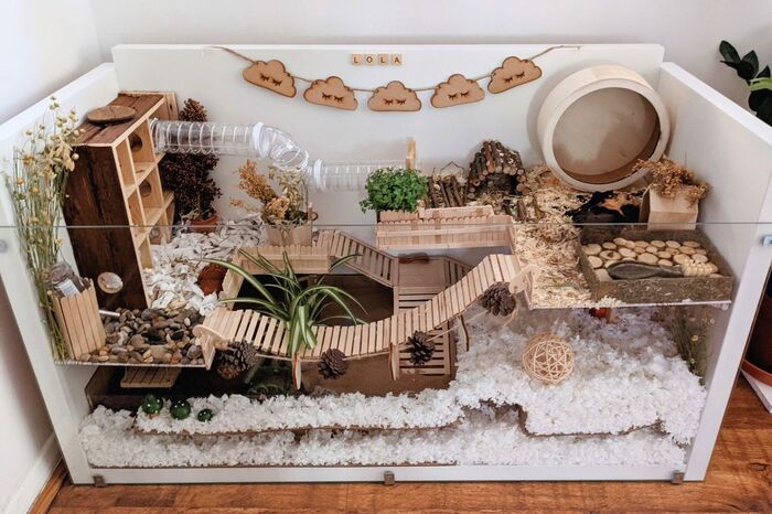 ���� ���� ��������� � � �����������, � � ����, ��� � ���� ������� ����� ������, � � ������, �� � ���� ����� ������. � ���������, �� ��� ������, ���� �����������