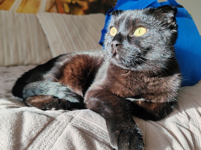 На солнышке