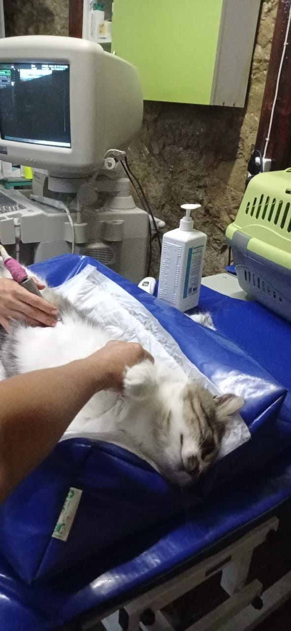 ������� ��� � ������� ������ ���������� �����, �������� ���.