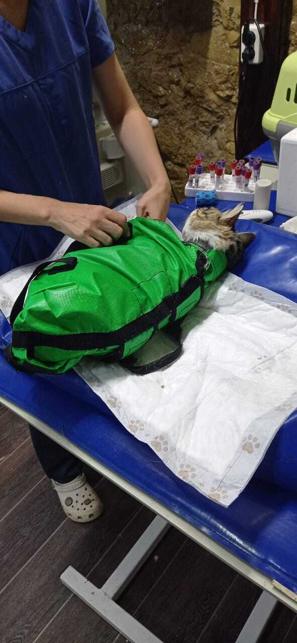 ����� ���������, "������������ �������" �� ������ ������, �� ����� ���� �� �� �������.