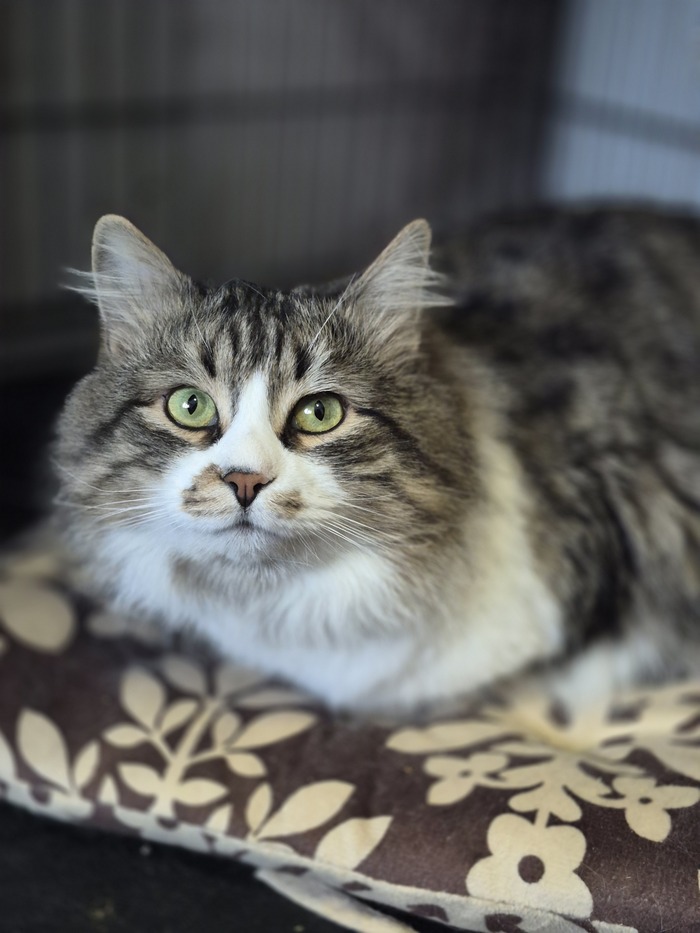 ����� ����� ������, �� ����� �� ������� ��������