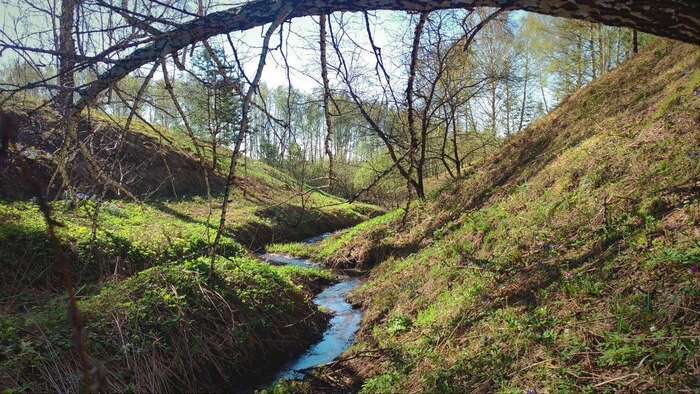 ��� ����� ������, ������ � ����� " �������������" ( �� ������� ���� ������ ����������) ������� ����� ����������� ������ � �������� �� ����� "�������" ������. ���� �����!