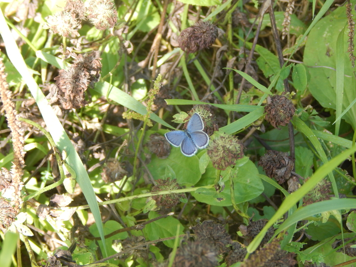 ��������� ������. �����. ��� ������� ����� ������ �� ��������� "���������" �� ������ �������. 