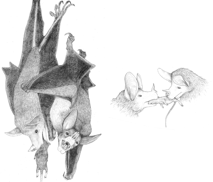 ����������� �� ������ � ������� �PLOS One�