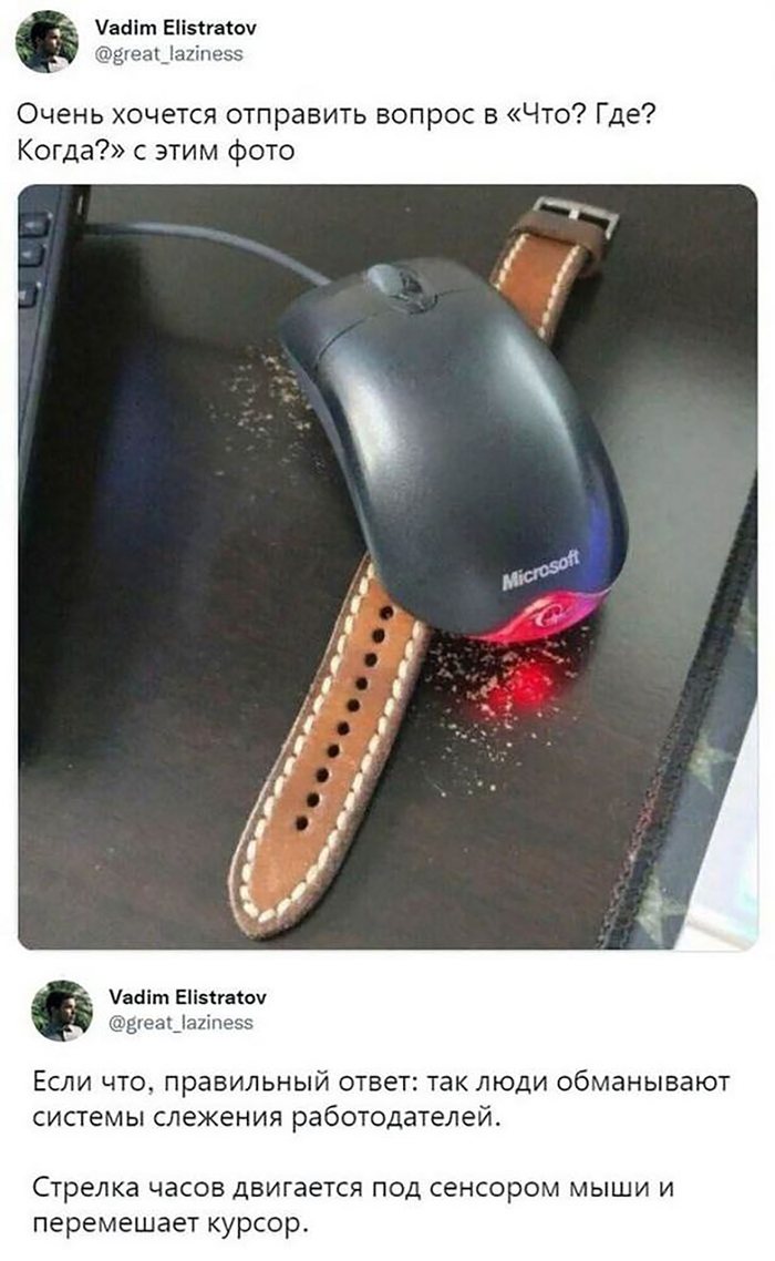 ����� ���������