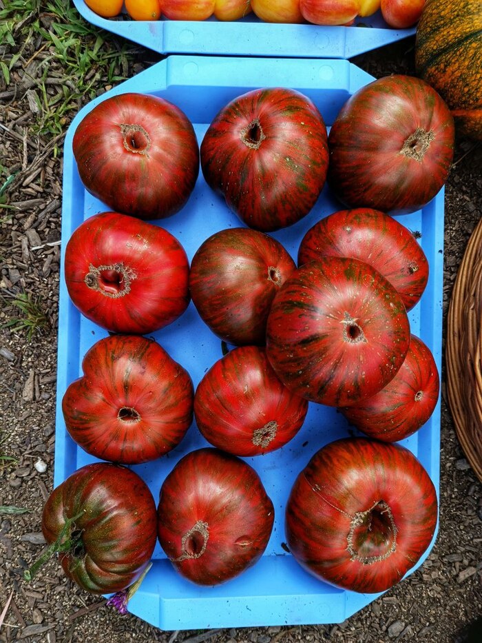 Полосатый шоколад