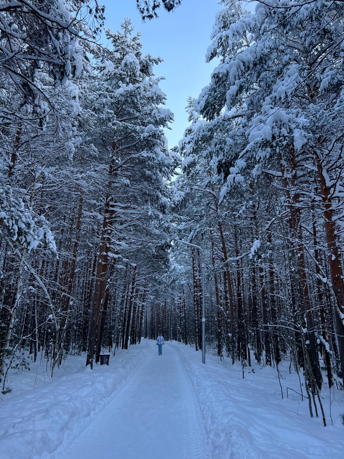 ��� �� ������ �������� � ������.