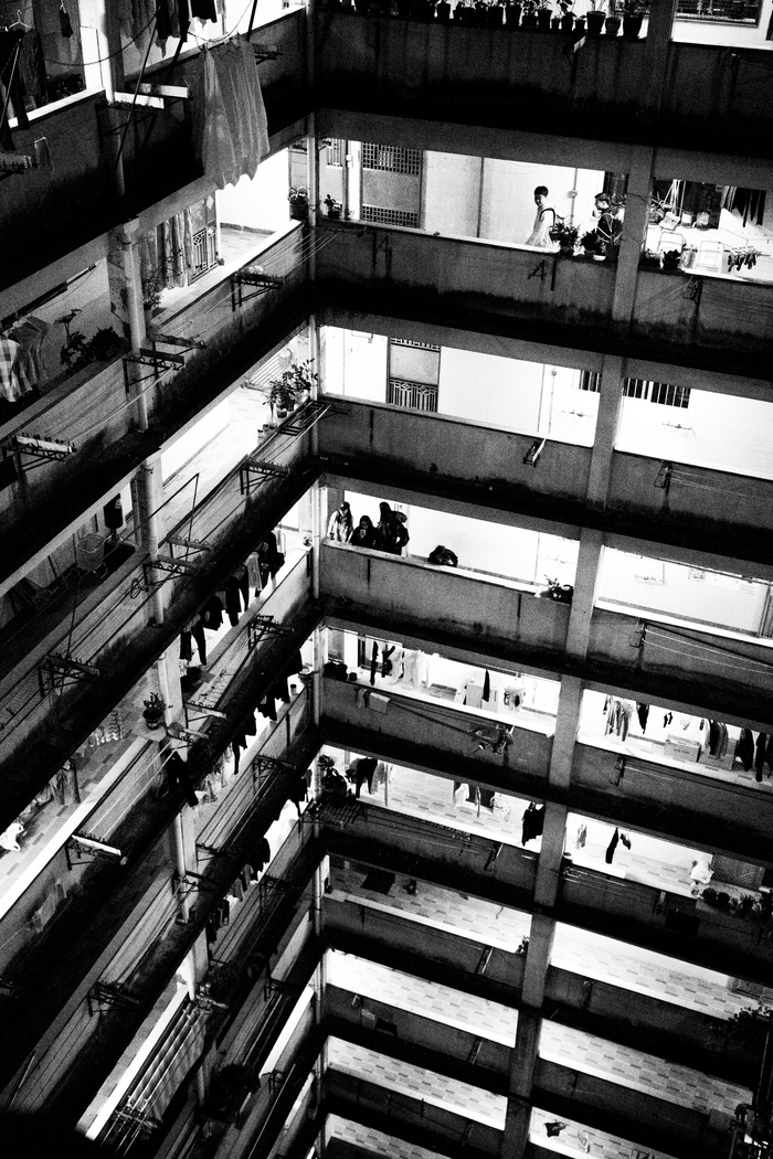 Ricoh GR. ������ �������