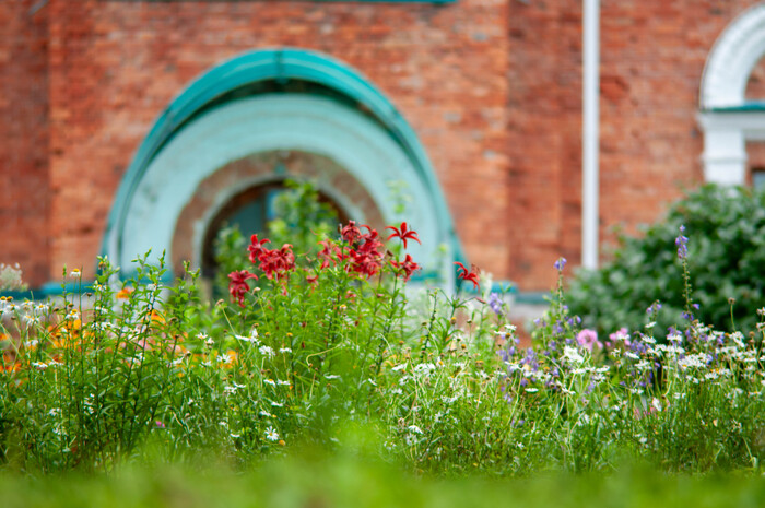 ����� �������� ���������