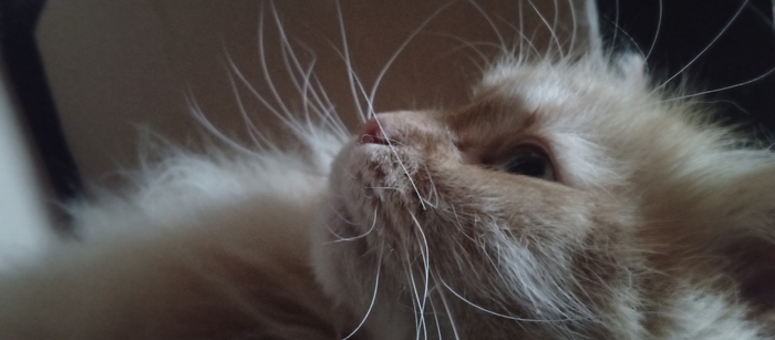 Немного прелести в ленту